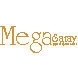 Mega Saray Yapı Dekorasyon